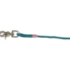 TRIXIE Schleppleine Trigger Snap Hook petrol 5 m