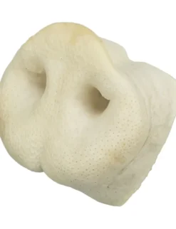TRIXIE Schweinenase getrocknet 44g