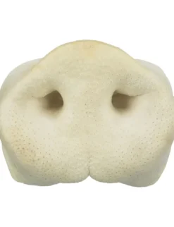 TRIXIE Schweinenase getrocknet 44g