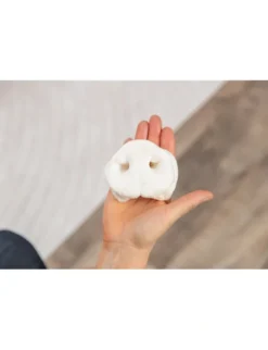 TRIXIE Schweinenase getrocknet 44g