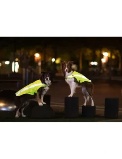 TRIXIE Sicherheitsweste reflektierend neongelb XS