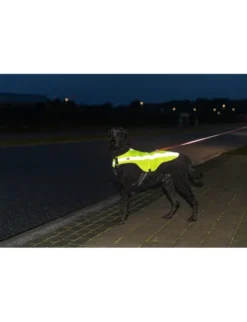TRIXIE Sicherheitsweste reflektierend neongelb XS
