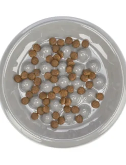 TRIXIE Slow Feeding Keramiknapf diverse 0,25 l
