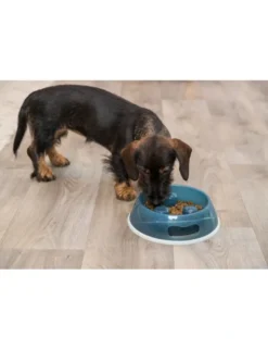 TRIXIE Slow Feeding Napf diverse 0,45 l