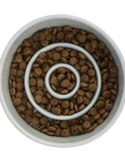 TRIXIE Slow Feeding Napf Keramik blau, grau 0,45 l