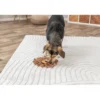 TRIXIE Snack-Löwe braun 26 cm