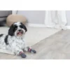 TRIXIE Socken Anti-Rutsch grau S-M