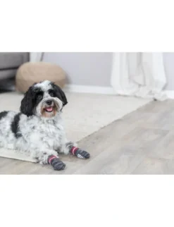 TRIXIE Socken Anti-Rutsch grau S-M