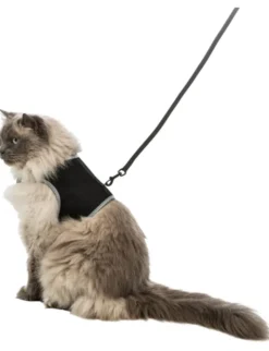 TRIXIE Softgeschirr Katze mit Leine schwarz 1,2 m