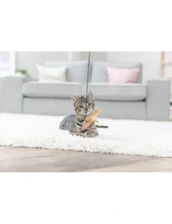 TRIXIE Spielangel Herz beige 50 cm