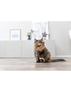 TRIXIE Spielangel Stern schwarz 50 cm