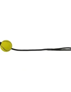 TRIXIE Sportball am Seil schwimmt Ø 6 cm