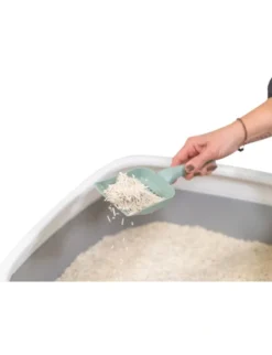 TRIXIE Tofu-Katzenstreu klumpend beige 6l