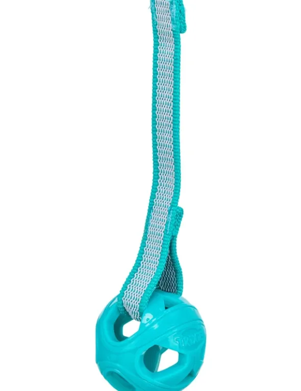 TRIXIE Wabenball am Seil türkis 23 cm