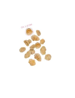 VEGDOG Pops 20g
