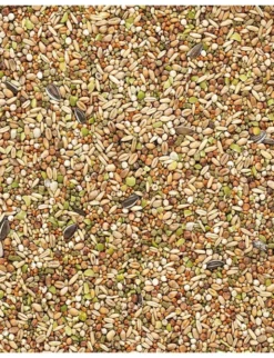 Versele-Laga Country's Best Garden Mix 1kg