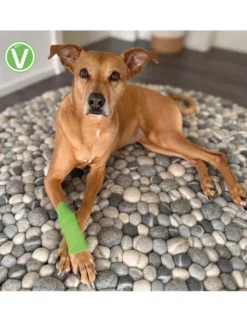 Vetlando Anti-Lick-Bandage M