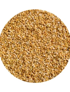 Vitakraft Honig Perlen für Sittiche 20g
