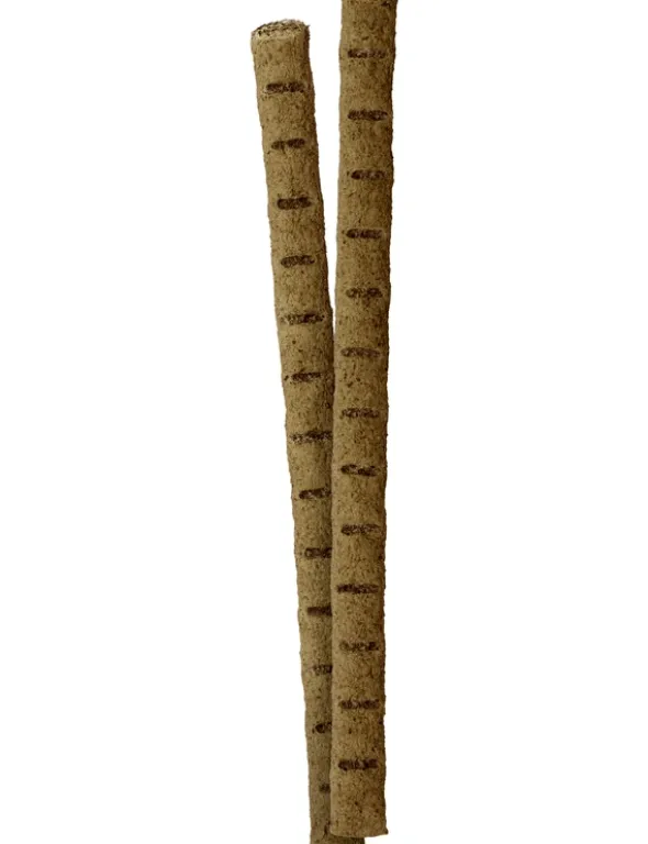 Vitakraft Insect Stick Hermetia Insekten 24g