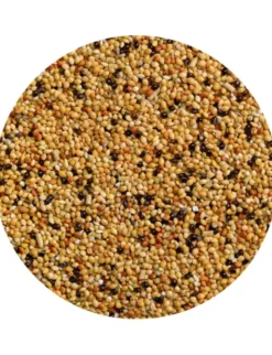 Vitakraft Jod Rapid für Sittiche 20g