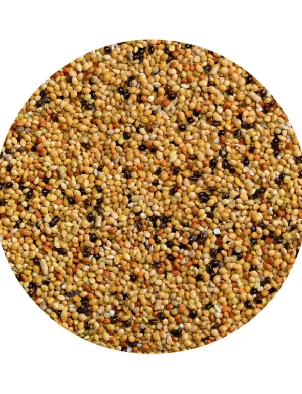 Vitakraft Jod Rapid für Sittiche 20g