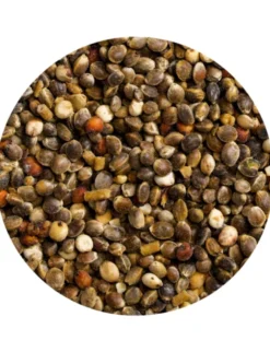 Vitakraft Mauserhilfe für Papageien & Großsittiche 25g