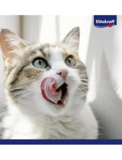 Vitakraft Premium Filets Cat Huhn 70g