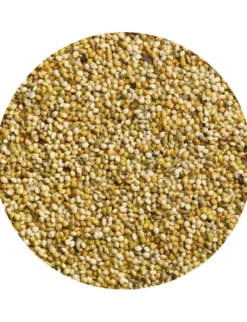 Vitakraft Sprech Perlen Hirse & Saaten 20g