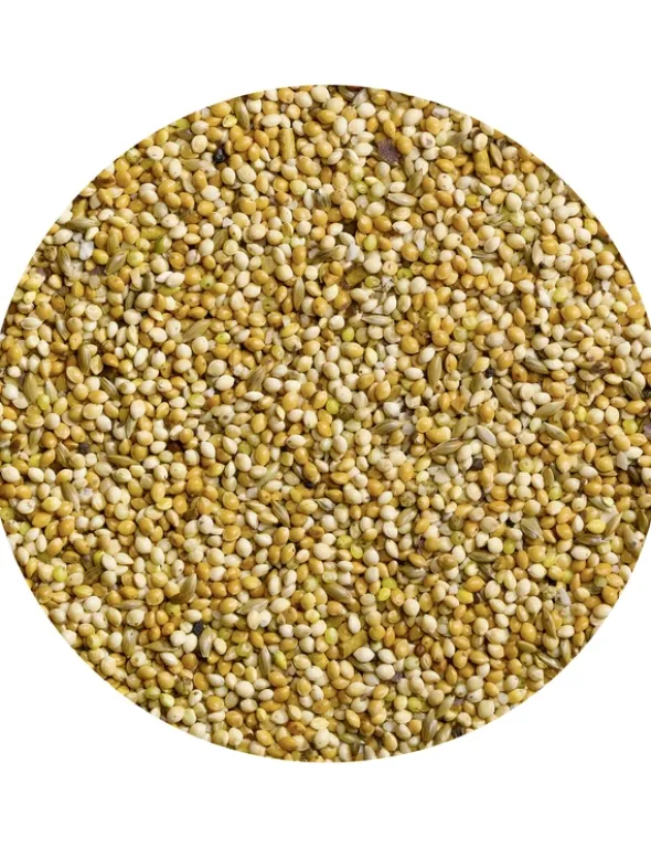 Vitakraft Sprech Perlen Hirse & Saaten 20g