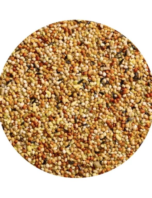 Vitakraft Stärkung für Großsittiche 30g