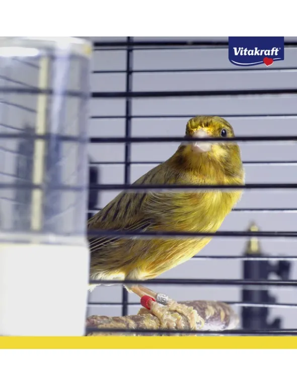 Vitakraft Vogel-Trank + Jod 500ml
