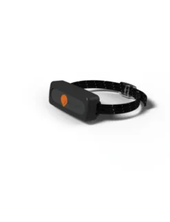Weenect XS GPS Tracker für Katzen schwarz