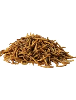 Welzhofer Mehlwürmer 250g
