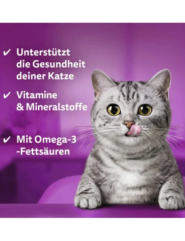 whiskas DENTABITES mit Huhn 40g