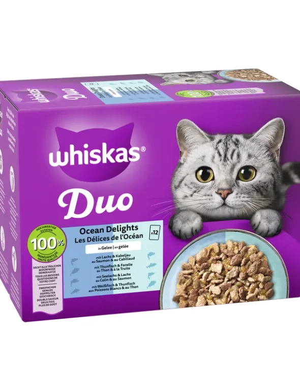 whiskas Duo Ocean Delight in Gelee 1kg