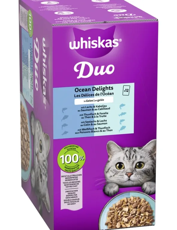 whiskas Duo Ocean Delight in Gelee 1kg