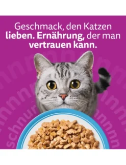 whiskas 1+ Fisch Auswahl in Gelee 2kg