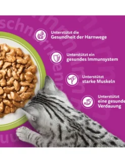 whiskas 7+ Gemischte Auswahl in Sauce 1kg