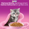 whiskas Junior Klassische Auswahl in Sauce 1kg