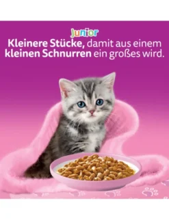 whiskas Junior Klassische Auswahl in Sauce 1kg