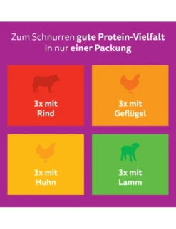 whiskas Junior Klassische Auswahl in Sauce 1kg