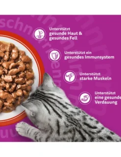 whiskas 1+ Klassische Auswahl in Sauce 3,4kg
