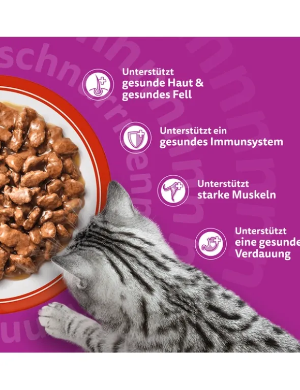 whiskas 1+ Klassische Auswahl in Sauce 3,4kg