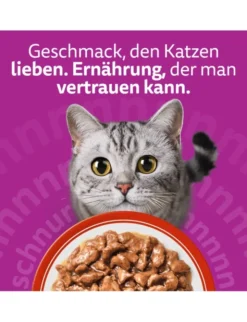 whiskas 1+ Klassische Auswahl in Sauce 3,4kg