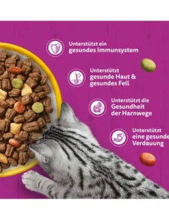 whiskas 1+ mit Huhn 3,8kg