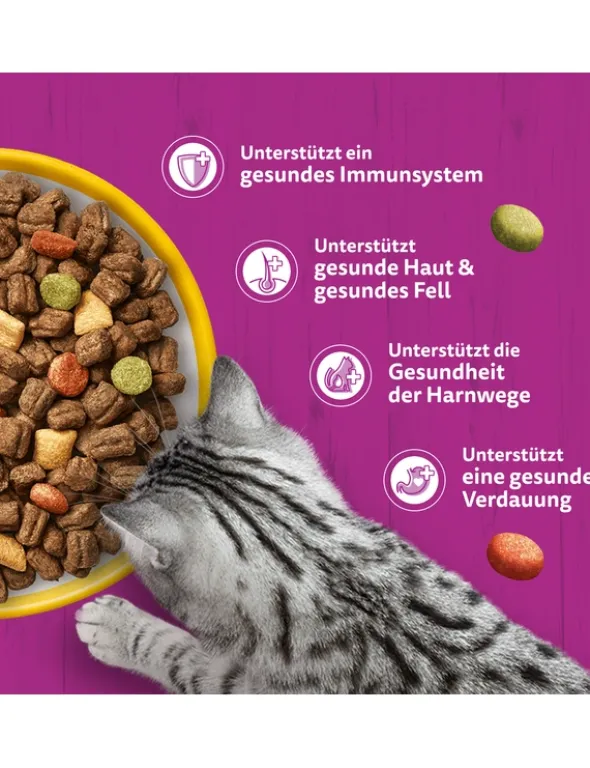 whiskas 1+ mit Huhn 3,8kg