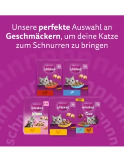 whiskas 1+ mit Huhn 3,8kg