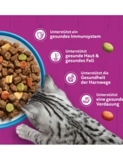 whiskas 1+ mit Thunfisch 3,8kg
