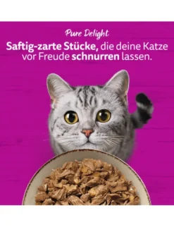 whiskas Pure Delight Geflügel Ragout in Gelee 3,4kg