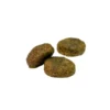 WILDKIND Adult Grand Lake Lachs 1kg